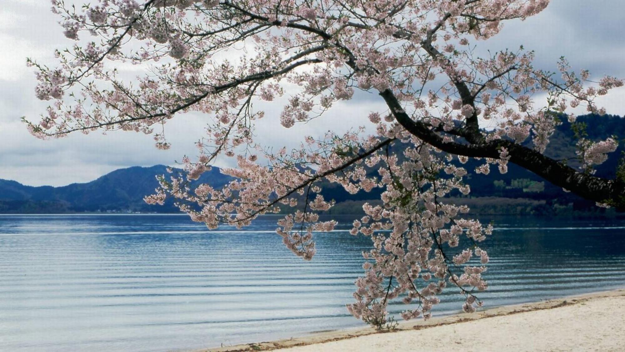 Kashintei Shirahama Semboku