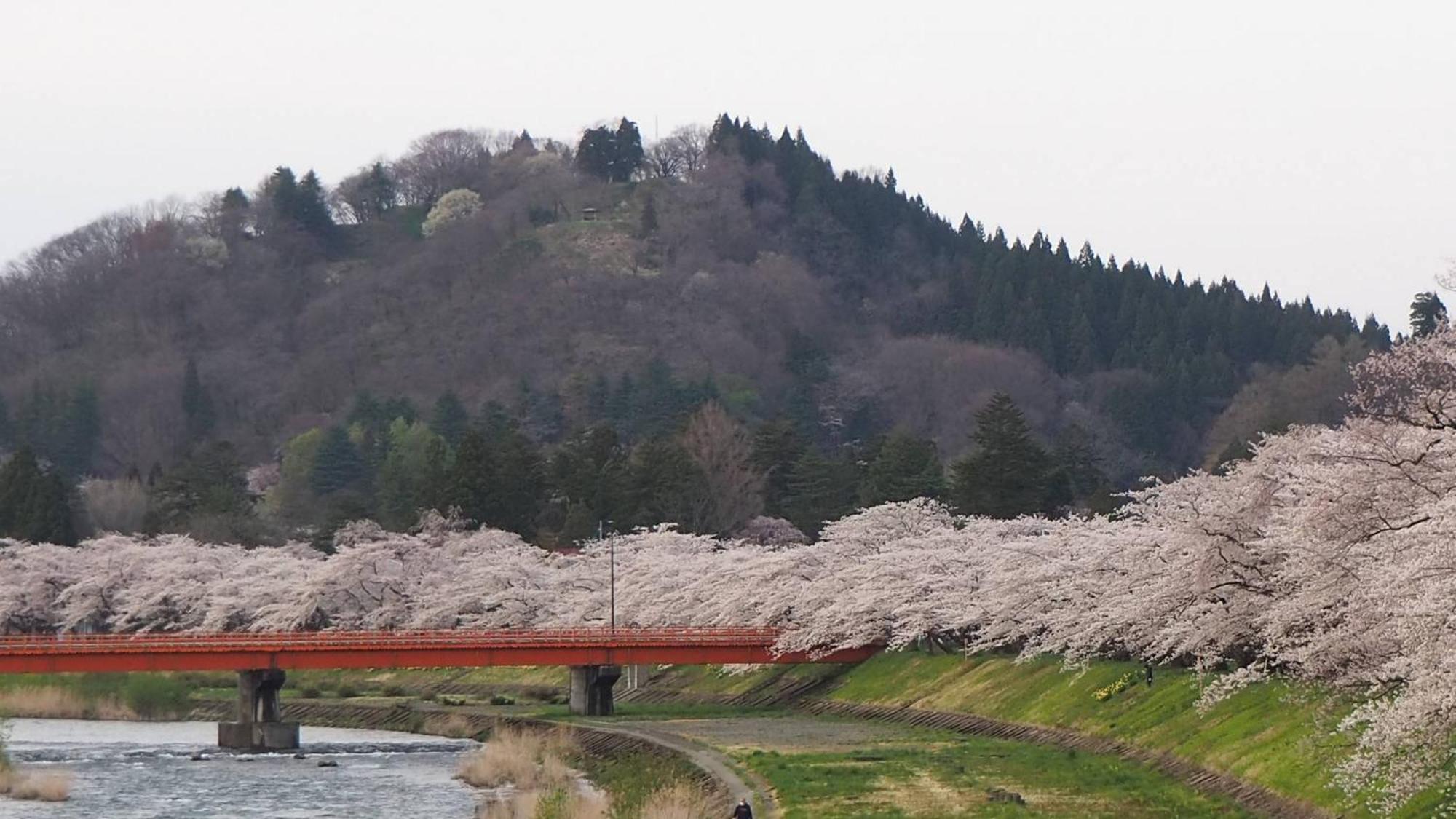 Kashintei Shirahama Ryokan